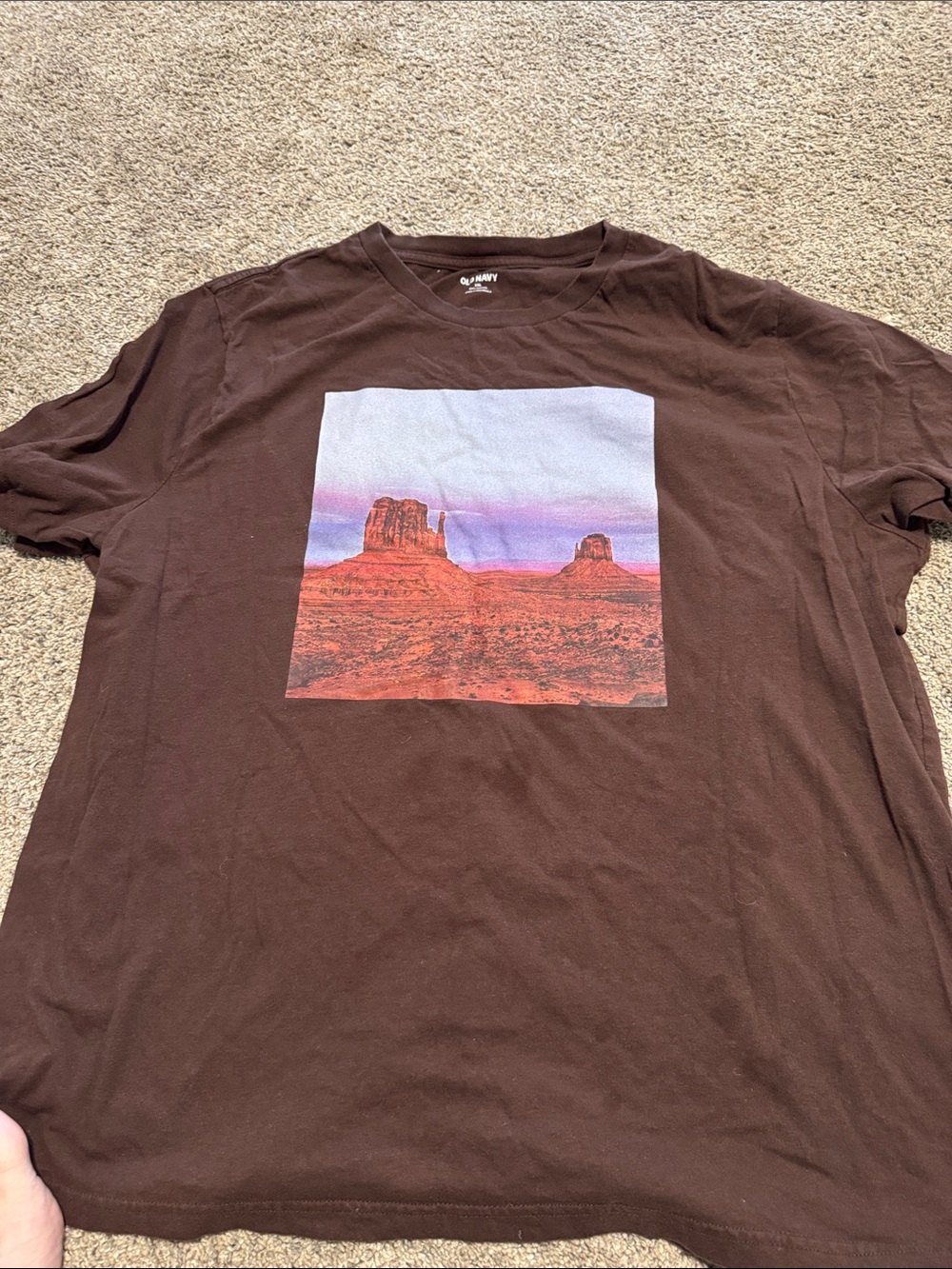 Old Navy Brown Desert Landscape Graphic Tee